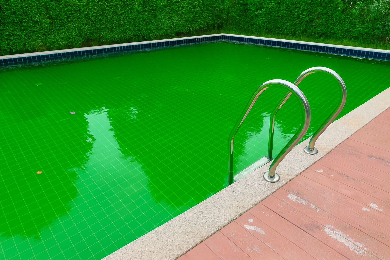 Havuzlar Neden Yeşil Olur? Yeşil Havuz Suyunun Nedenleri ve Çözüm Yöntemleri